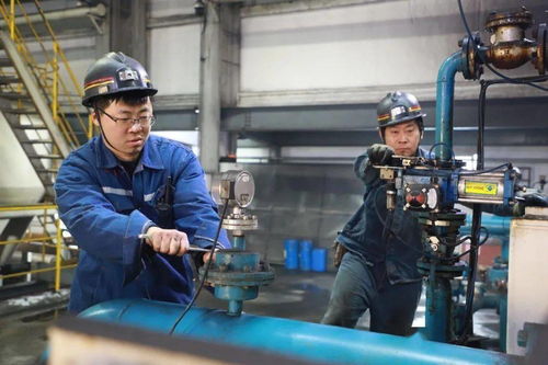 郭屯煤礦多措并舉提升煤質含金量，選煤設備助力增效